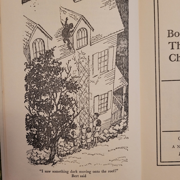 The Bobbsey Twins / The Mystery at Cherry Corners / 1971 / Vintage Reading - Picture 10 of 14